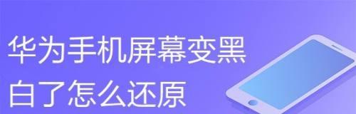 电视突然变黑白了怎么办（解决电视黑白屏的实用方法及常见故障排除技巧）