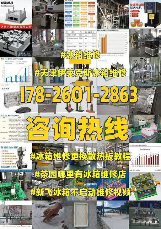 伊莱克斯冰箱FD故障及维修方法（解决伊莱克斯冰箱FD故障的有效方法）