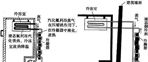 冰箱的工作原理（揭秘冰箱如何保持食物新鲜）