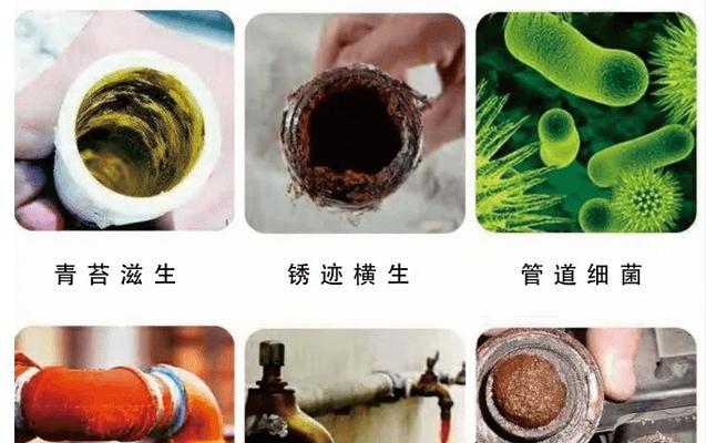 净水器出现绿苔如何处理？有效清洁方法是什么？